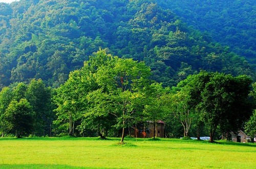 廣發(fā)銀行向“新”而行，奮力書寫跨境金融“特色答卷”