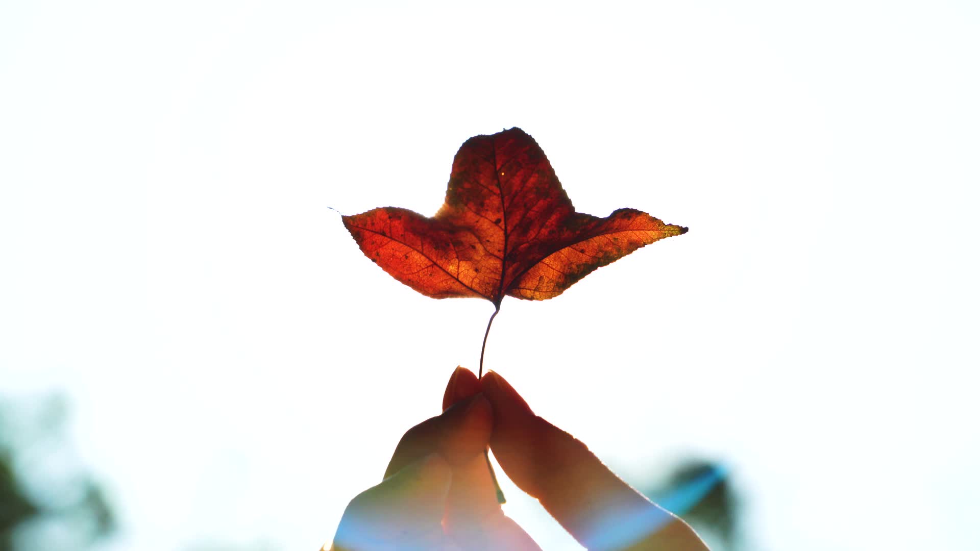 飛閱韶關(guān)~你的樣子