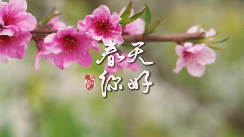 你好，韶關(guān)