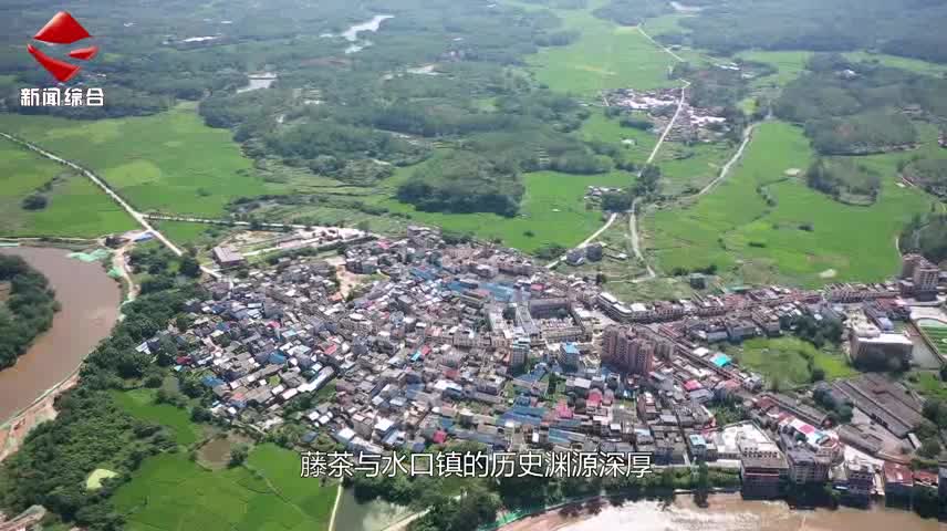 民生關注20240904