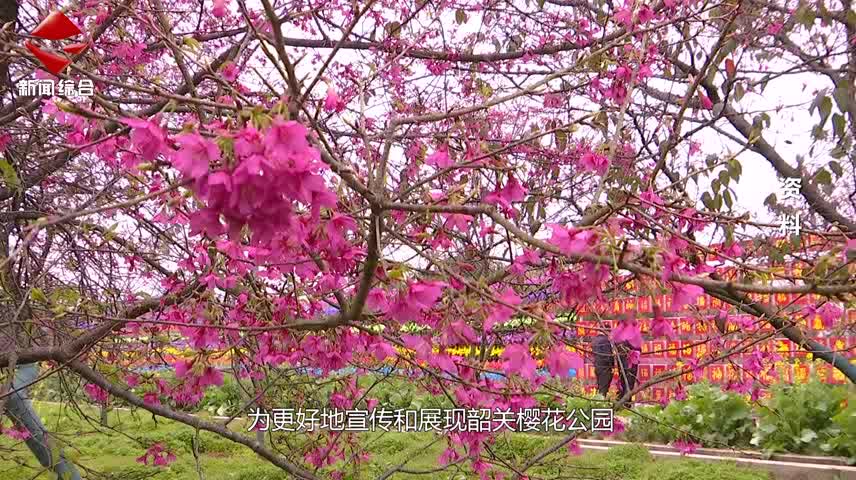 民生關注20240911