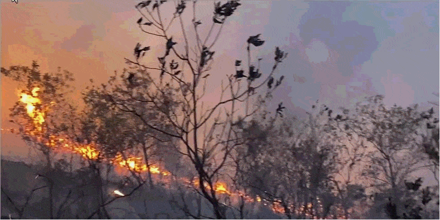 4個(gè)多小時(shí)才撲滅！韶關(guān)一男子祭祖引發(fā)山火被行政拘留