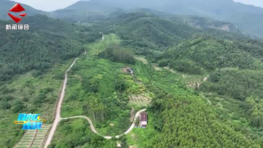 武江區(qū)重陽鎮(zhèn)妙聯(lián)村：“妙梓閣”果香飄盛夏“甜蜜經(jīng)濟”正當(dāng)時