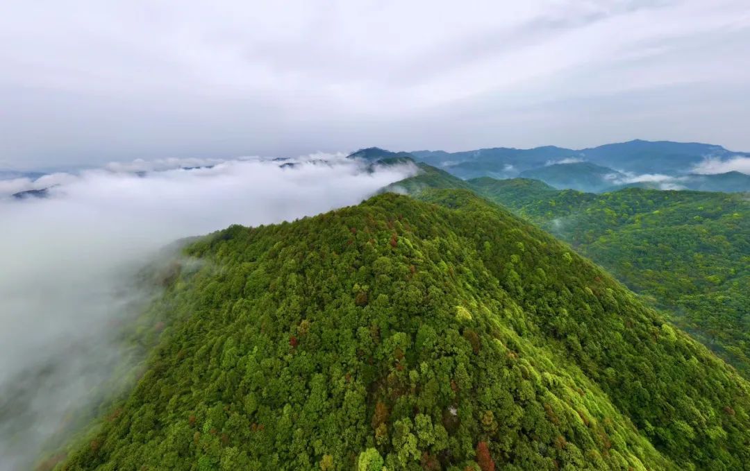 暑期游韶關，這些不文明旅游行為被曝光