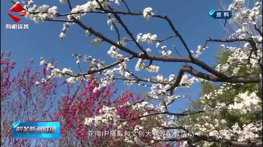 【粵來粵好百千萬】樂昌：“體育賽事+甜蜜花果”賦能“百千萬工程”
