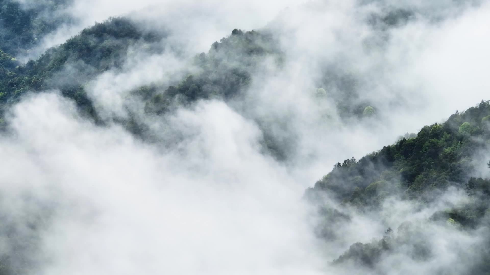 飛閱韶關(guān)20250701