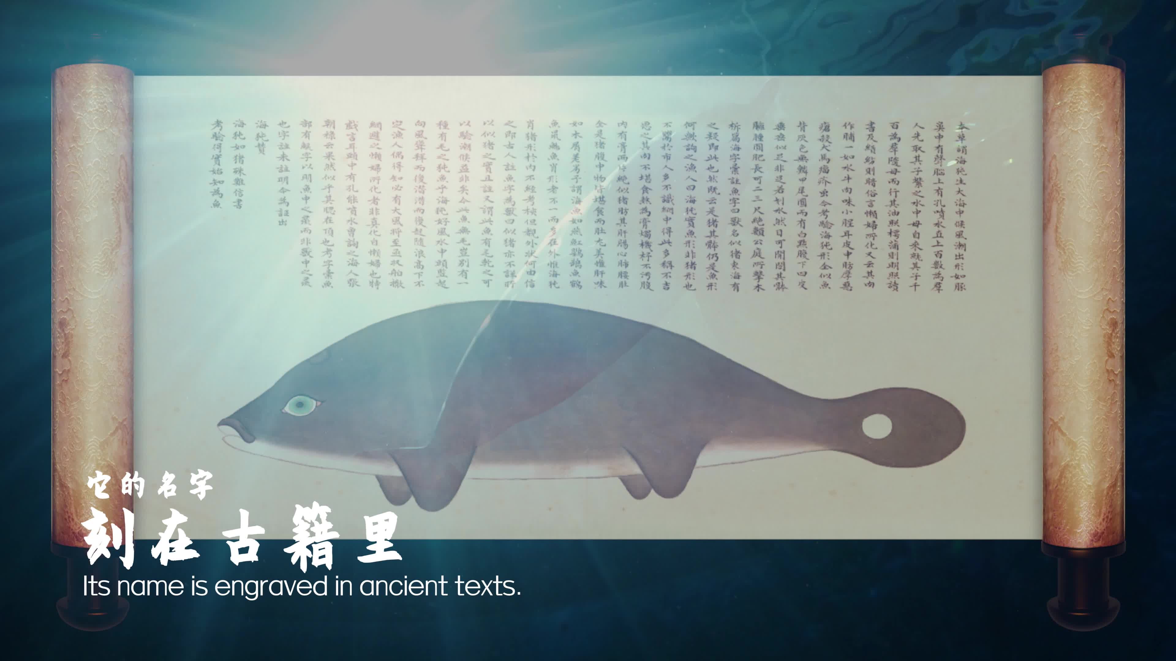 60秒《它的名字，叫“中華”》