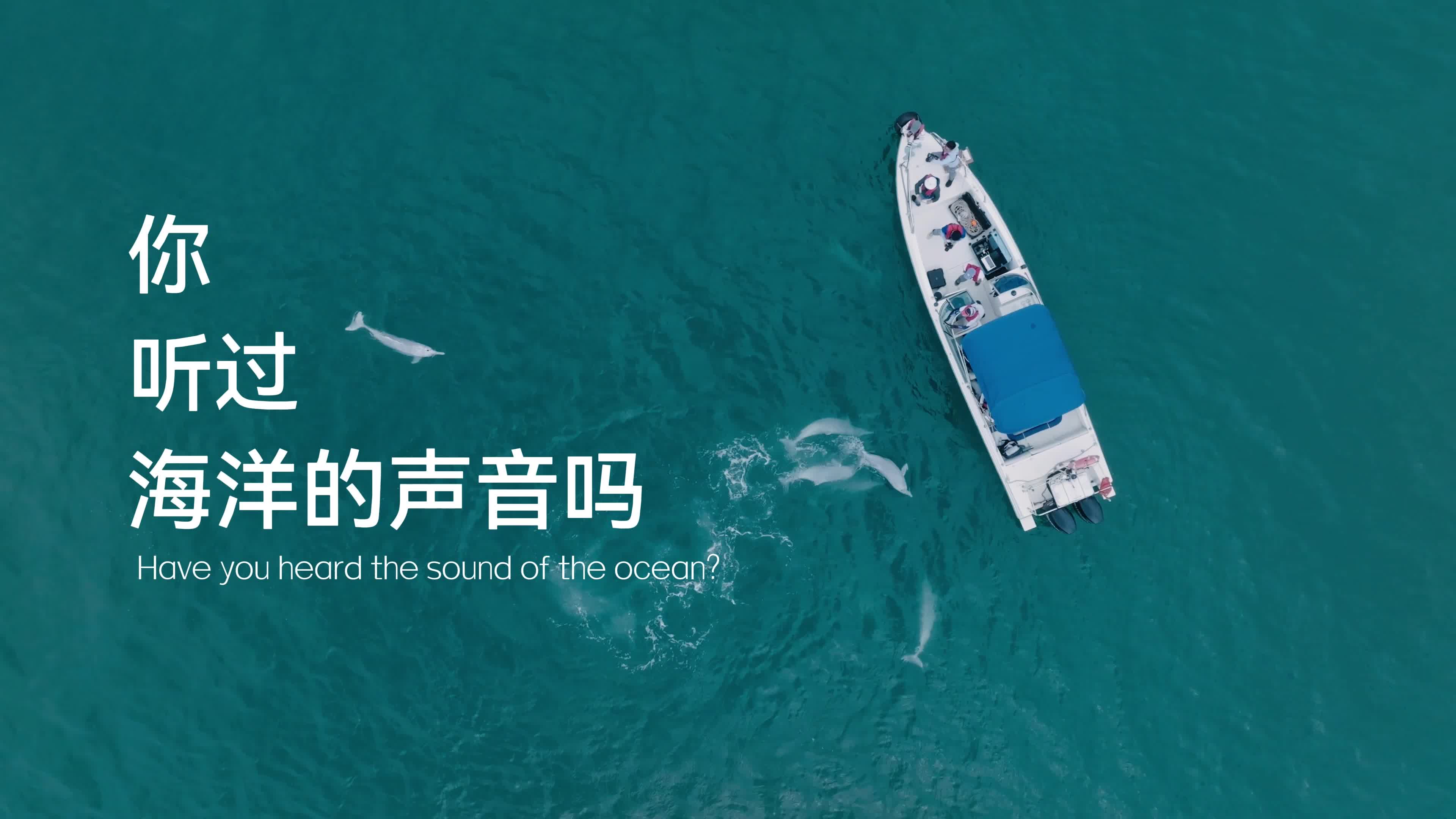 30秒《神奇的能力》