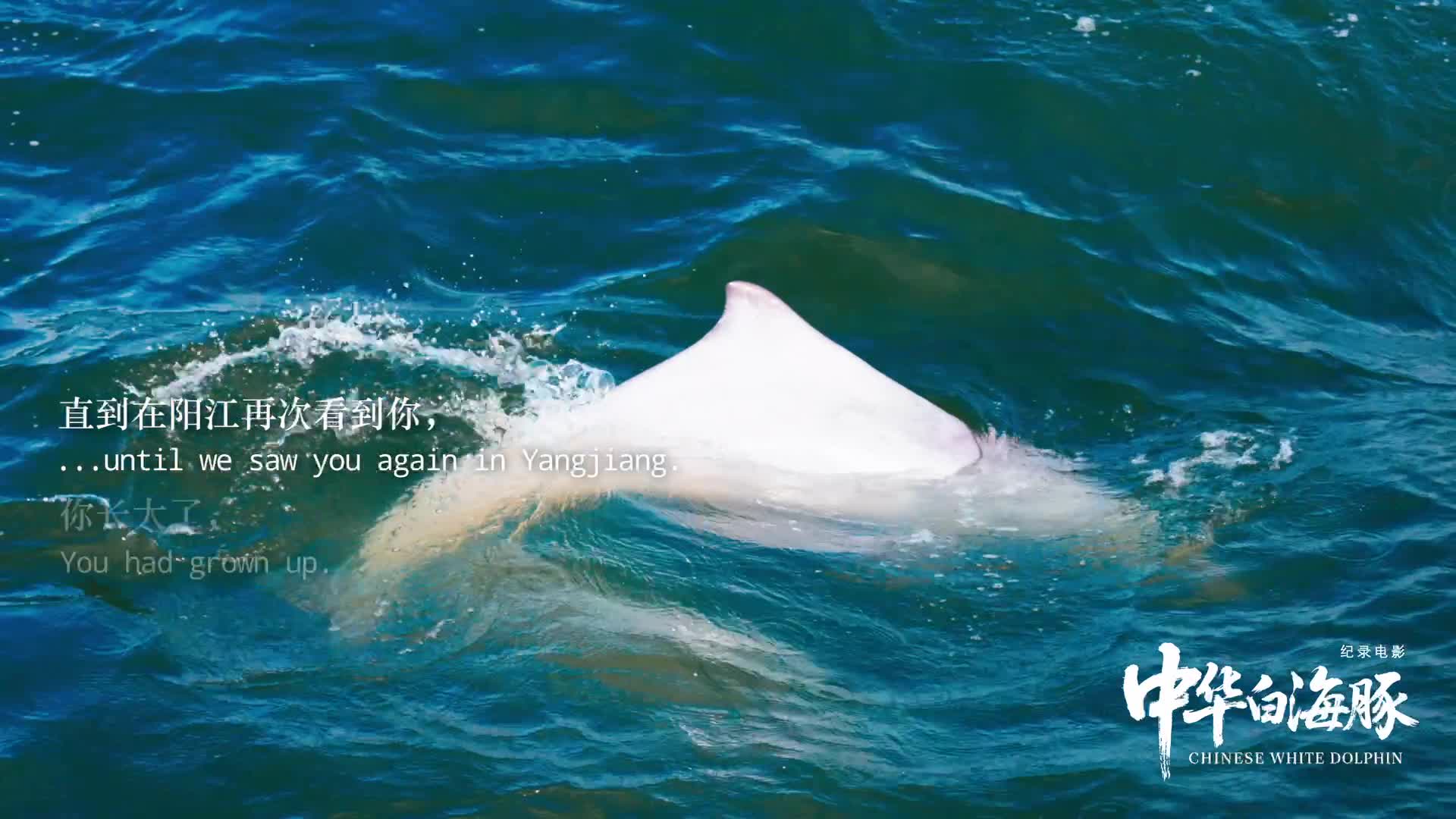 2分鐘《未寄出的信：致珠珠》