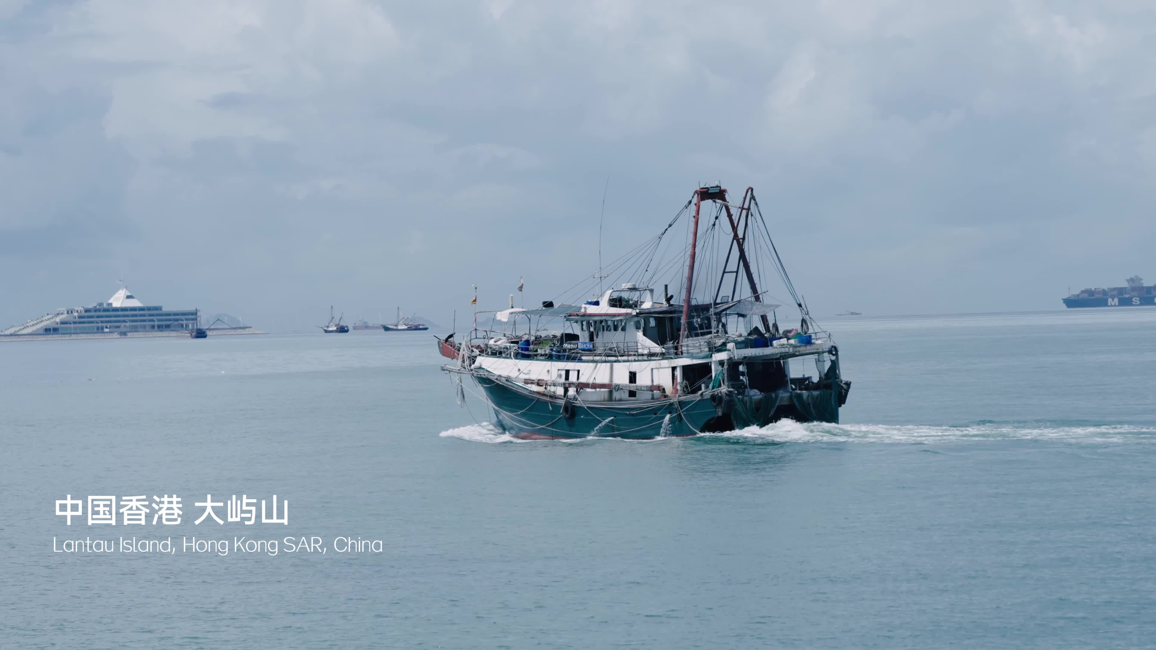 30秒《生存大挑戰(zhàn)》