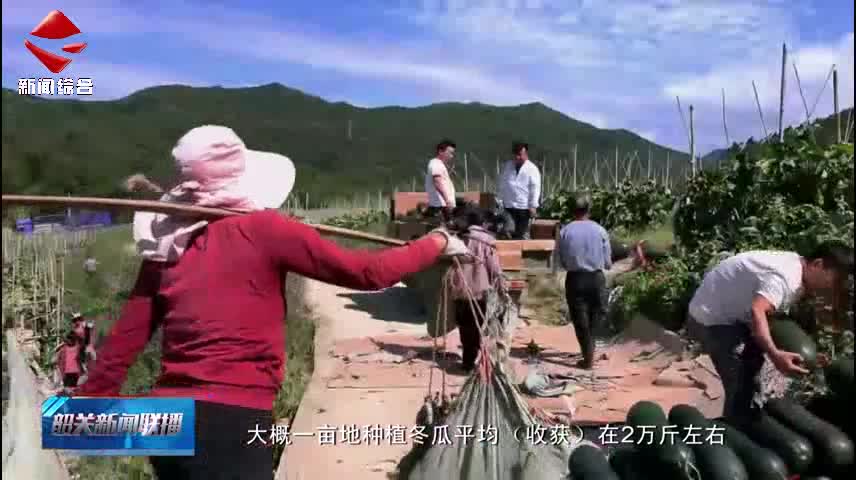 韶關(guān)深耕“媒體+”賦能“百千萬工程” 云上推“好物”線下促增收