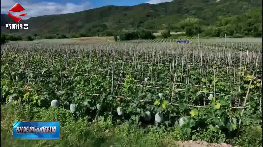 韶關(guān)新聞聯(lián)播20251214