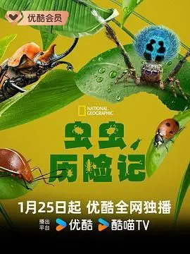 《虫虫历险记》：动画界的天花板？看完我直接原地封神，网友：比真人剧还精彩！