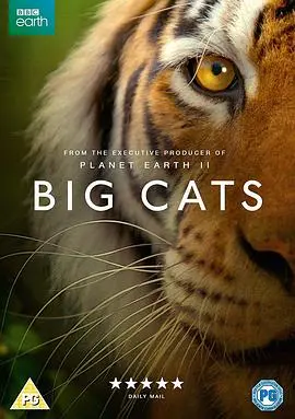 《大猫》：这爱情片还能硬核到“击落空间站”？“消失的礼金”背后有何秘密？