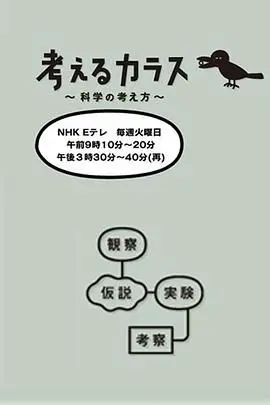 《像乌鸦一样思考》：一部让你大脑宕机，怀疑人生的烧脑神作！这《咖宝车神之时空守护》般的复杂剧情，谁顶得住啊？