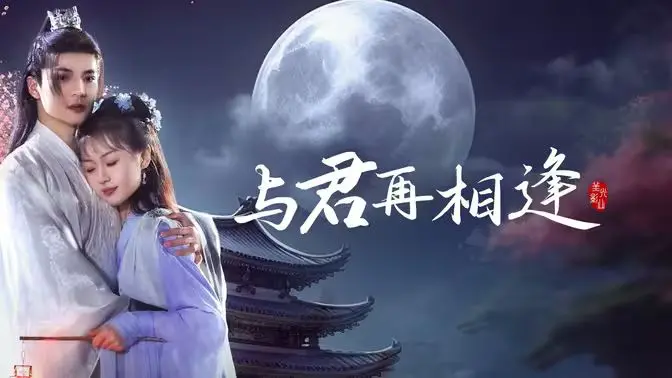与君再相逢 海报